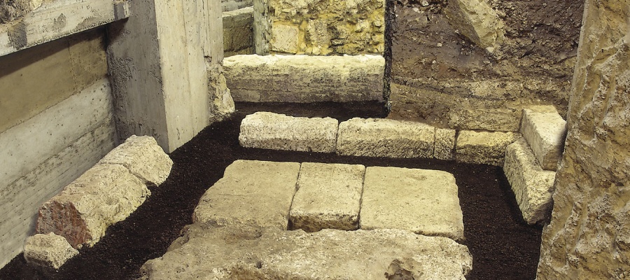 Mutseu_thesaurus tardo-punico